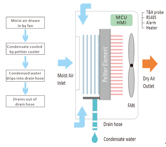 Peltier dehumidification working principle